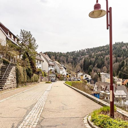 Ferienappartement Sonnenhof Triberg im Schwarzwald Kültér fotó
