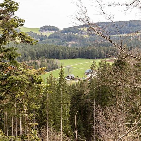 Ferienappartement Sonnenhof Triberg im Schwarzwald Kültér fotó