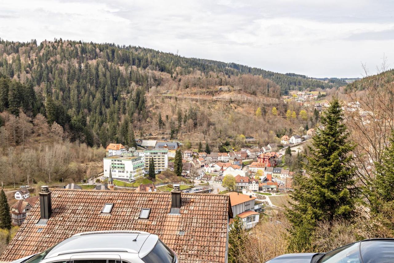 Ferienappartement Sonnenhof Triberg im Schwarzwald Kültér fotó
