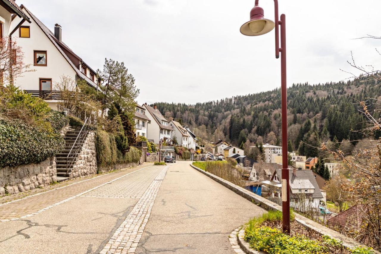 Ferienappartement Sonnenhof Triberg im Schwarzwald Kültér fotó